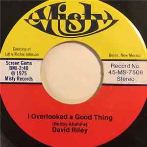 FLAC David Riley - I Overlooked A Good Thing