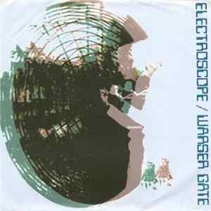 FLAC Electroscope / Warser Gate - Elements