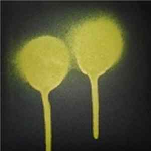 FLAC Bill Coleman - Black & Yellow EP