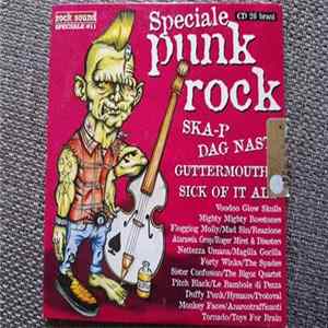 FLAC Various - Rock Sound Speciale Punk Rock 11