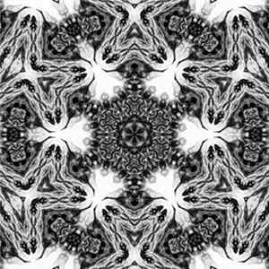 FLAC Ravcan - Untitled One