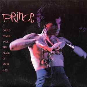 FLAC Prince - I Could Never Take The Place Of Your Man