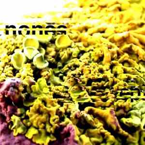 FLAC Planes de Jibaros - Nones... EP