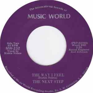 FLAC The Next Step - Now She's Gone / The Way I Feel