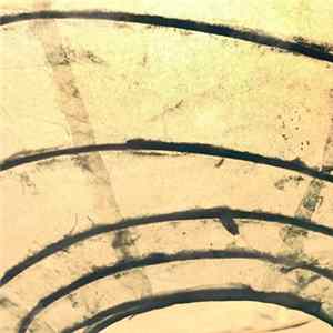 FLAC Paul Timings - Guitar Music 3