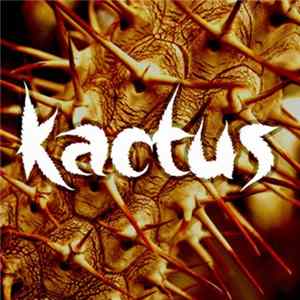 FLAC Lektronikumuz - Kactus