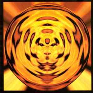 FLAC Coil - Stolen & Contaminated Songs