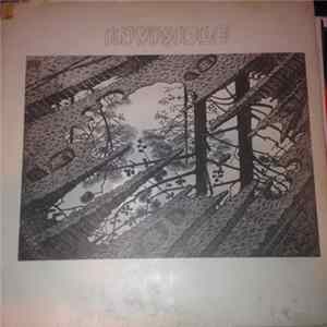 FLAC Invisible - Invisible