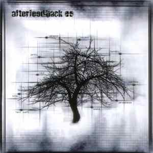 FLAC Afterfeedback - Afterfeedback