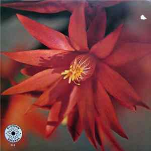 FLAC The Latin Flutes - Muito Obrigado (Thank You Very Much)