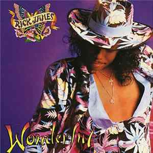 FLAC Rick James - Wonderful