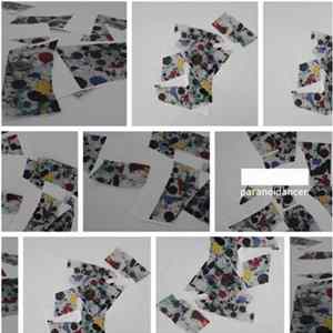 FLAC Various - Paranoid Grooves 01