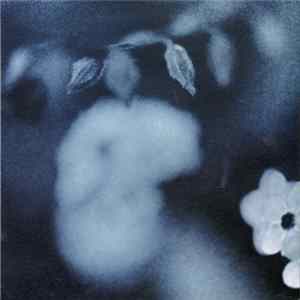 FLAC Mark Kozelek - Duk Koo Kim