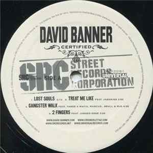 FLAC David Banner - Certified
