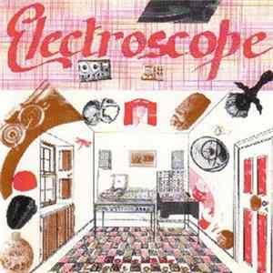 FLAC Electroscope - Homemade Electroscope