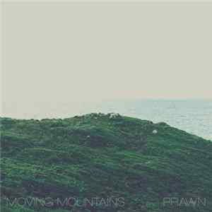 FLAC Moving Mountains / Prawn - Split