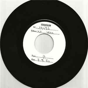 FLAC Donna Summer - The Wanderer / Stop Me