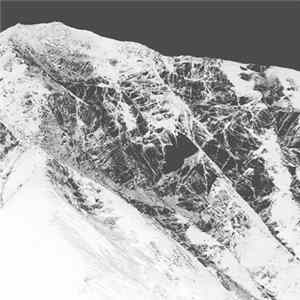 FLAC Shepard Electrosoft In Public Garden - Mountain​(​s) / Live / Orgue Et Musique électronique