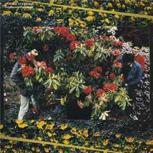 FLAC Sneaky Feelings - Sentimental Education