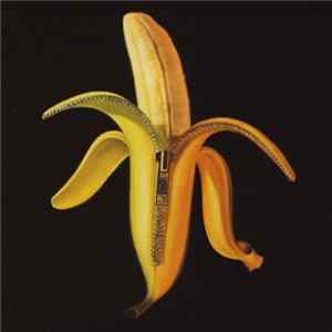 FLAC The Dandy Warhols - Welcome To The Monkey House