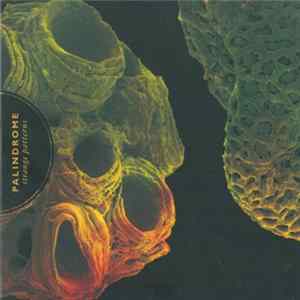 FLAC Palindrome - Strange Patterns