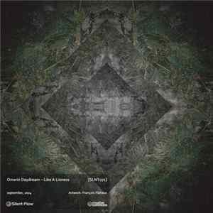 FLAC Orrorin Daydream - Like A Lioness