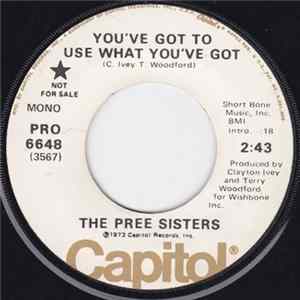 FLAC The Pree Sisters - You've Got To Use What You've Got / Part Time Lover, Full Time Fool