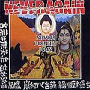 FLAC Never Again - Never Forget Pain