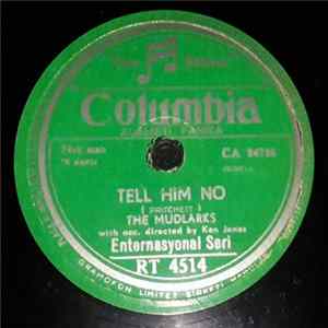 FLAC The Mudlarks - Tell Him No / Time Flies