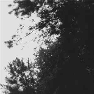 FLAC Greyscale Reverie - Memory Tape