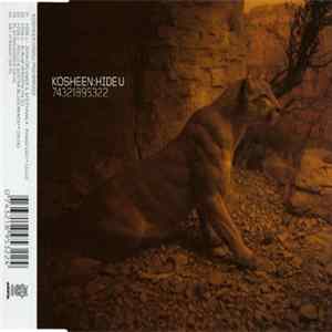 FLAC Kosheen - Hide U