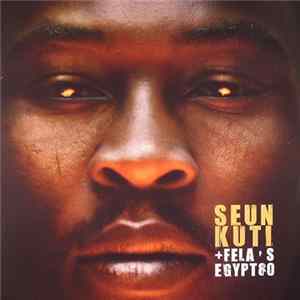FLAC Seun Kuti + Fela's Egypt 80 - Many Things