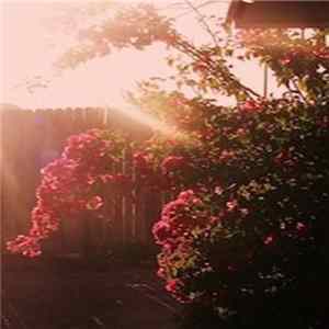 FLAC Aisle / BBJr - Narcotica//Bellringer