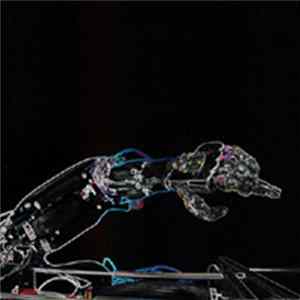 FLAC Ruairi Lazers - Complicated Profession
