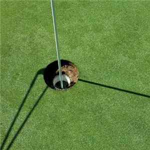 FLAC Henry Collins - The Masters