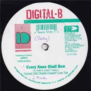 FLAC Garnett Silk, Charlie Chaplin , Coco Tea / Cocoa Tea - Every Knee Shall Bow / Babylon Get Fraid