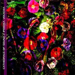 FLAC Cathedrals Of Sound - Ipomoea Violacea