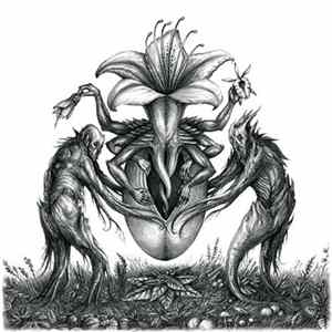 FLAC Botanist - IV: Mandragora