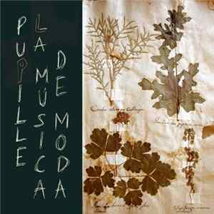 FLAC Pupille - La Música De Moda