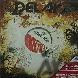 FLAC Sergi M & DJ Avispa vs Tom Hafman - How Did You Now