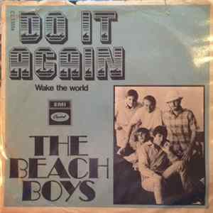 FLAC The Beach Boys - Do It Again
