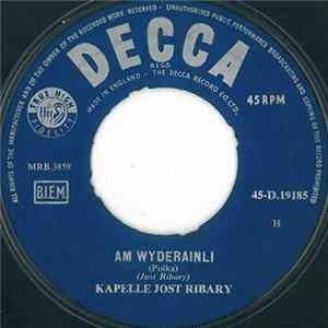 FLAC Kapelle Jost Ribary - Am Wyderainli