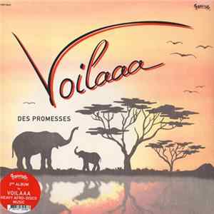 FLAC Voilaaa - Des Promesses