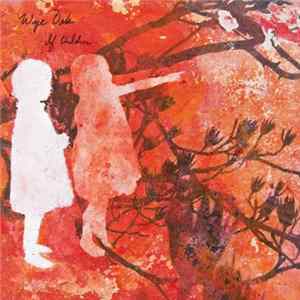 FLAC Wye Oak - If Children