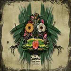 FLAC Donso - Denfila