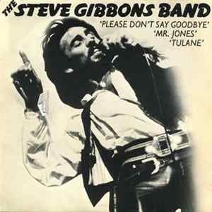 FLAC Steve Gibbons Band - Please Don't Say Goodbye