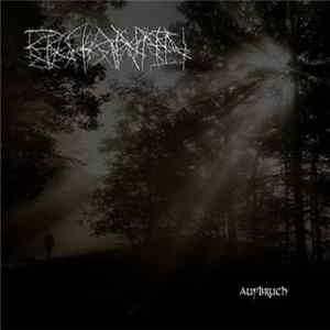 FLAC Erstarren - Aufbruch