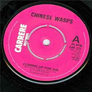 FLAC Chinese Wasps - Coming Up For Air