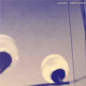 FLAC Tujiko Noriko - Blurred In My Mirror