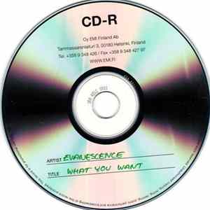 FLAC Evanescence - What You Want